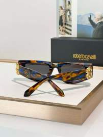 Picture of Roberto Cavalli Sunglasses _SKUfw69699336fw
